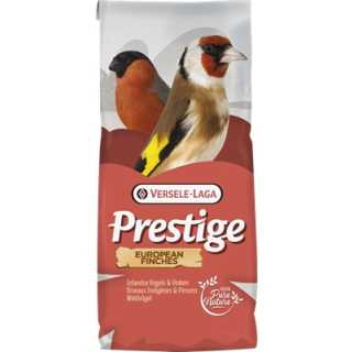 https://canindiet.ro/media/catalog/product/1/7/1706--european-finches-breeding-without-rapeseed-amestec-cinteze-europene-reproducere-fara-rapita-20kg-canin_diet.jpg