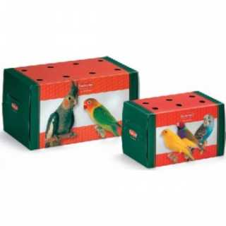 Cutie Transport Mare