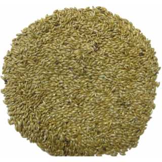 Versele Laga Hrana Canari, Cinteze, Papagali, Plain Canary Seeds (seminte canare) 25 KG.