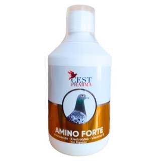 https://canindiet.ro/media/tmp/catalog/product/a/m/amino_forte_500_ml_produse_porumbei.webp.jpg