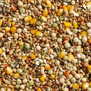 Flornas Hrana profesionala Porumbei, Baza FL 20 KG.