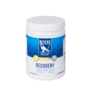 https://canindiet.ro/media/tmp/catalog/product/b/e/beyers_recovery_600g.canin_diet.jpg