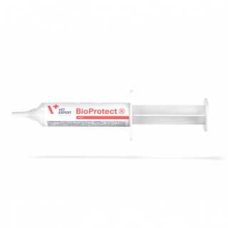 VetExpert Supliment flora intestinala, pentru Caini si Pisici Bioprotect Pasta, VetExpert, 15 ml