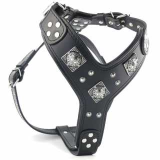 https://canindiet.ro/media/tmp/catalog/product/e/r/eros_all_black_studded_big_dog_harness-canin_diet_.jpg