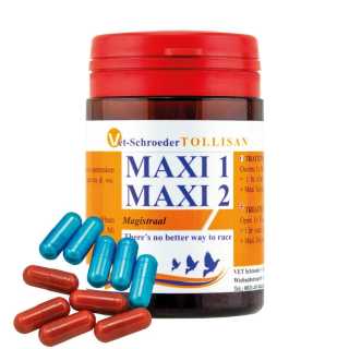 Tollisan Supliment pentru porumbei, Explozie de putere, Maxi 1+2(2×5 capsule) TL