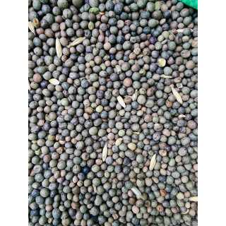 Seminte si cereale, pentru pasari Mazariche Verde 1 KG.