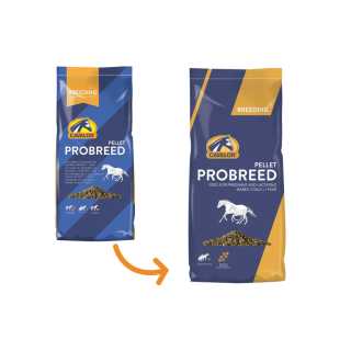 https://canindiet.ro/media/tmp/catalog/product/p/r/probreed-pellet-canin_diet.jpg