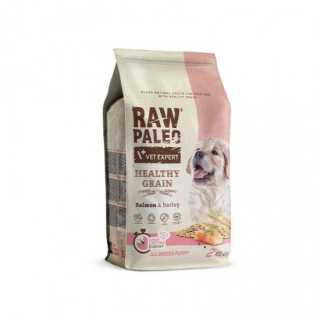 https://canindiet.ro/media/tmp/catalog/product/r/a/raw-paleo-healthy-grain-puppy-salmon-sucha-10.jpg