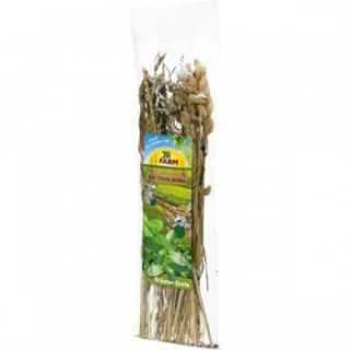 Mix de ierburi pentru rozatoare Jr Farm Snack 80 g