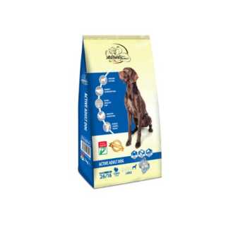 Hrana pentru caini Authentic Gold Aktive Adult cu curcan 15 kg