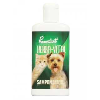 https://canindiet.ro/media/tmp/catalog/product/s/a/sampon-caini-si-pisici-herba-vital-200-ml-962394.webp.jpg