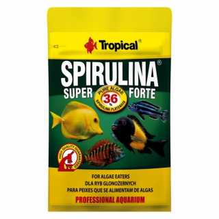 Tropical Hrană pesti, din plante sub formă de fulgi , granule sau chips SPIRULINA FORTE Tropical Fish, 36%, 12 GR.