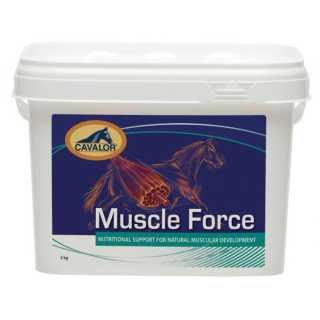 https://canindiet.ro/media/tmp/catalog/product/s/u/supliment-cai-reconstruire-muschi-muscle-force-versele-laga-2-kg-109775.webp_1_.jpg