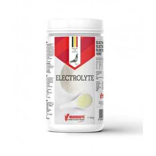 https://canindiet.ro/media/tmp/catalog/product/v/a/vanrobaeys_electrolyte_750g_Canin_diet.jpg