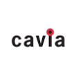 Cavia