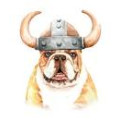 Viking