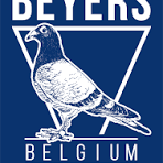 Beyers Pigeons