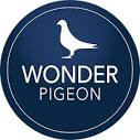 Wonder Pigeon