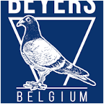 Beyers Pigeons