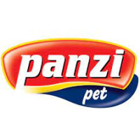 Panzi