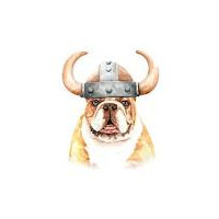Viking
