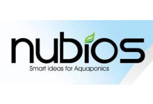 Nubios