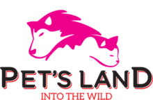 Pet's Land