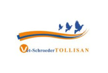 Tollisan