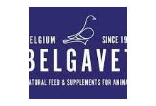 BelgaVet