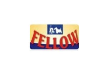 Fellow